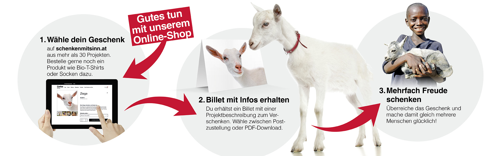 Erklärung, wie Schenken mit Sinn funktioniert: Du schenkst symbolisch eine Ziege und hilfst damit einer Person im echten Leben. 