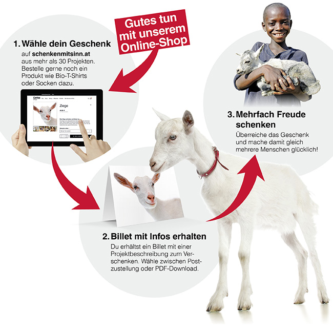 Erklärung, wie Schenken mit Sinn funktioniert: Du schenkst symbolisch eine Ziege und hilfst damit einer Person im echten Leben. 