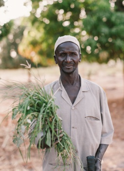 Afrikanischer Mann hält Saatgut und Pflanzen in der Hand